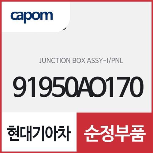 인스트루먼트 판넬 정션 박스 (91950AO170) 니로 전기차