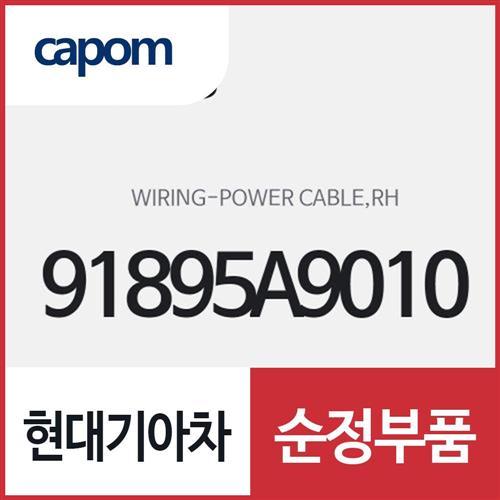파워 케이블 와이어링,우측(조수석쪽) (91895A9010) 카니발