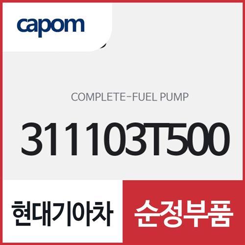 연료 펌프 컴플리트 (311103T500) K9