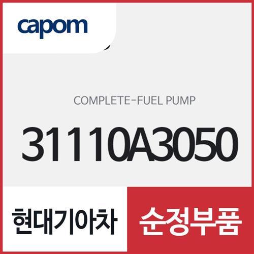 연료 펌프 컴플리트 (31110A3050) 레이