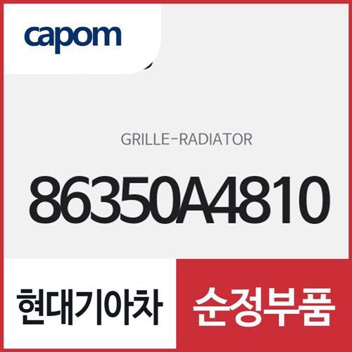 라디에이터 그릴 (86350A4810) 카렌스