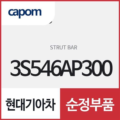 스트러트 바 (3S546AP300) 쏘나타, 스포티지