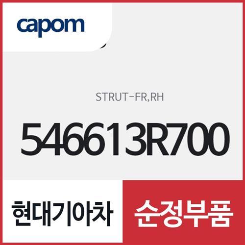 프론트 스트러트(앞 쇼바),조수석쪽 (546613R700) K7
