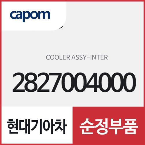 인터쿨러 (2827004000) 레이