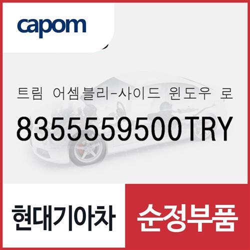 트림-사이드 윈도우 로어 리어,우 (8355559500TRY) 쏠라티, 쏠라티 특장