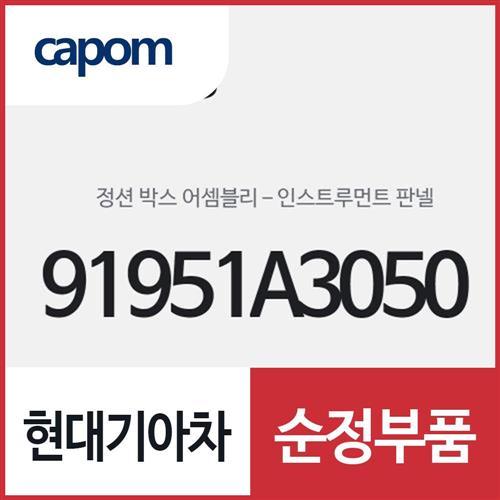 인스트루먼트 판넬 정션 박스 (91951A3050) 레이