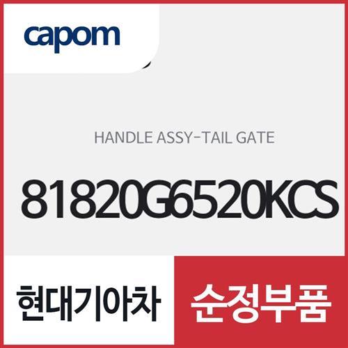 테일게이트 핸들(트렁크 외부 여닫는 손잡이) (81820G6520KCS) 모닝