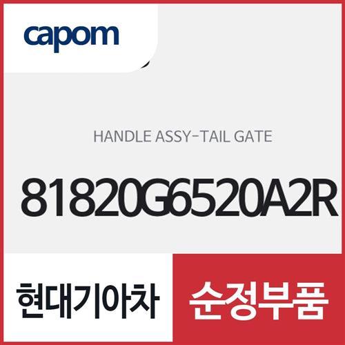 테일게이트 핸들(트렁크 외부 여닫는 손잡이) (81820G6520A2R) 모닝