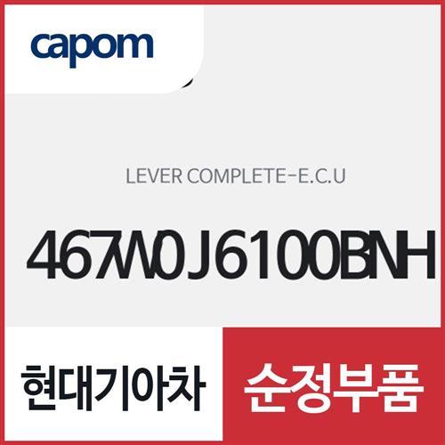 E.C.U 레버 컴플리트 (467W0J6100BNH) K9