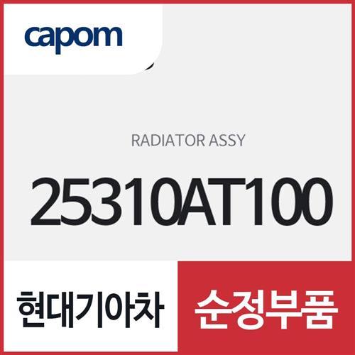 라디에이터 (25310AT100) 니로 하이브리드