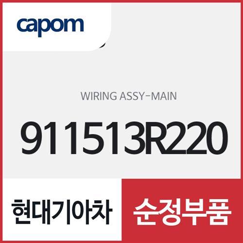 와이어링-메인 (911513R220) K7