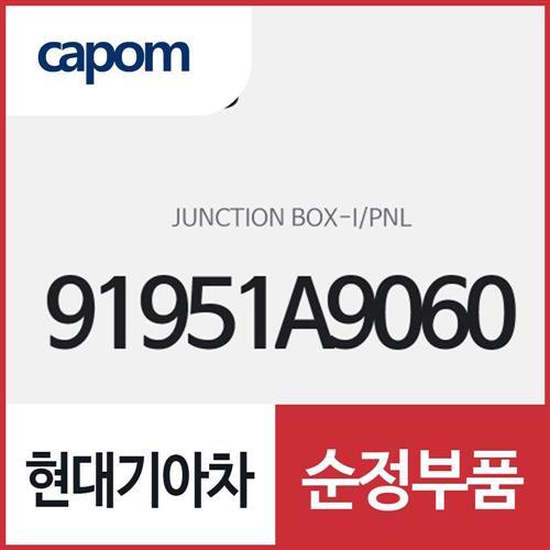 인스트루먼트 판넬 정션 박스 (91951A9060) 카니발