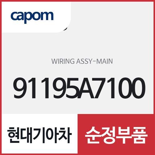 와이어링-메인 (91195A7100) K3