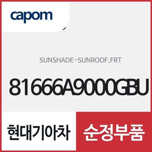 선루프 선쉐이드,프론트 (81666A9000GBU) 카니발
