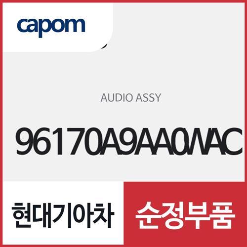 오디오 (96170A9AA0WAC) 카니발