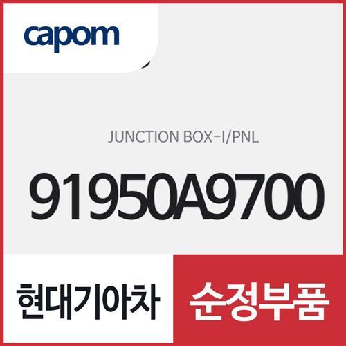 인스트루먼트 판넬 정션 박스 (91950A9700) 카니발