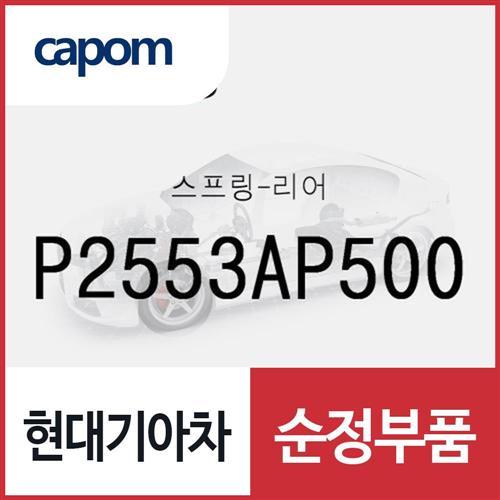 뒷바퀴 쇼바 스프링(리어 스프링) (P2553AP500) 더뉴 싼타페
